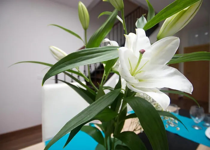 Apartment Valencia